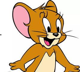 老鼠大神最新爆料下载,老鼠大神最新爆料，带你一探究竟！